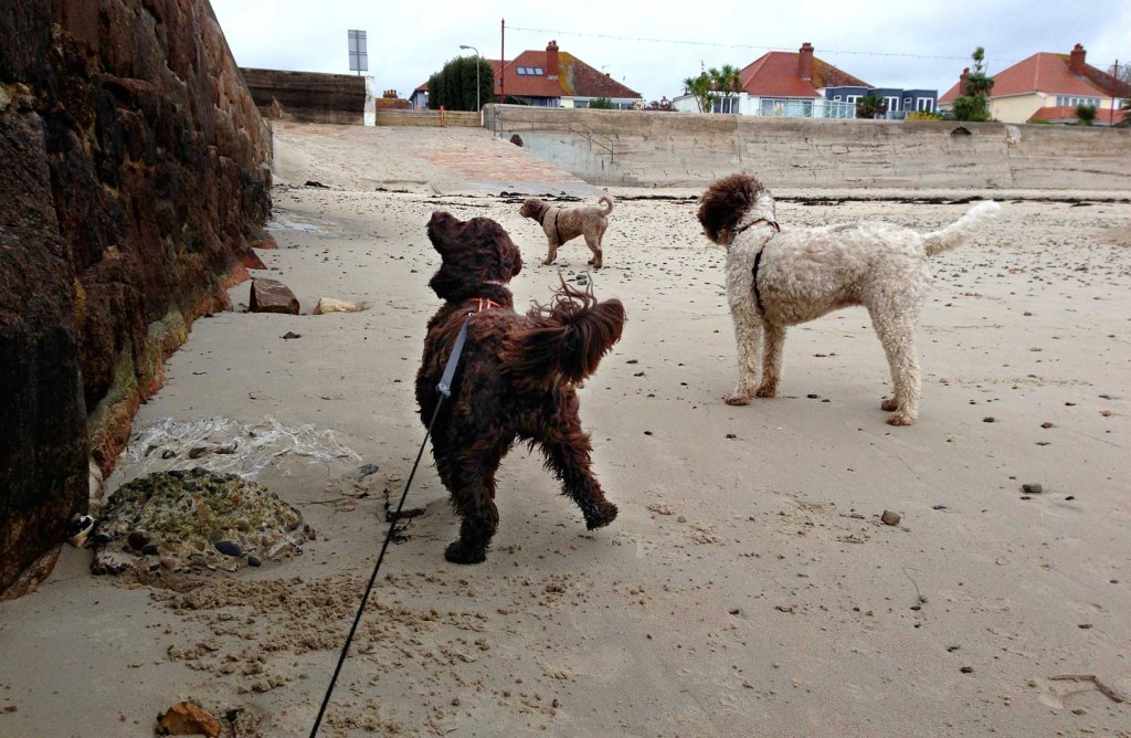 betty-ella-ela_gunsite_1_11