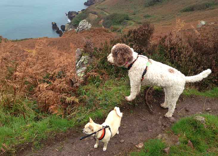 ela-rolo_25thoct13-les-platons