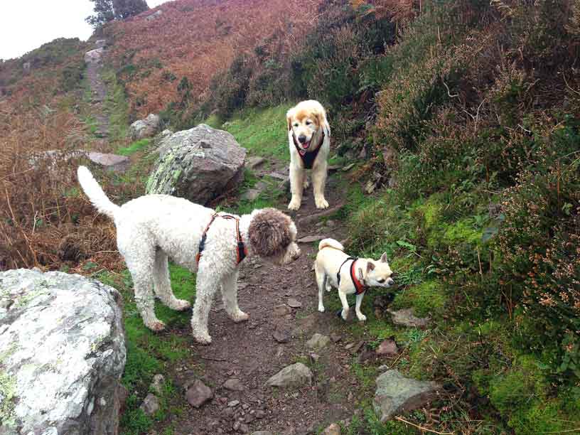 tak-ela-rol-25oct13_les_platons