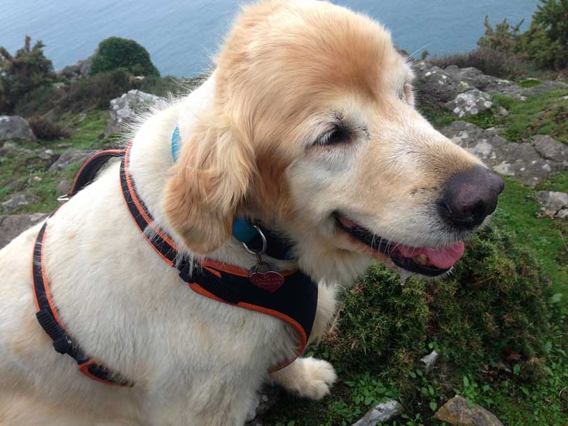 taka-2-25thoct13-les-platons