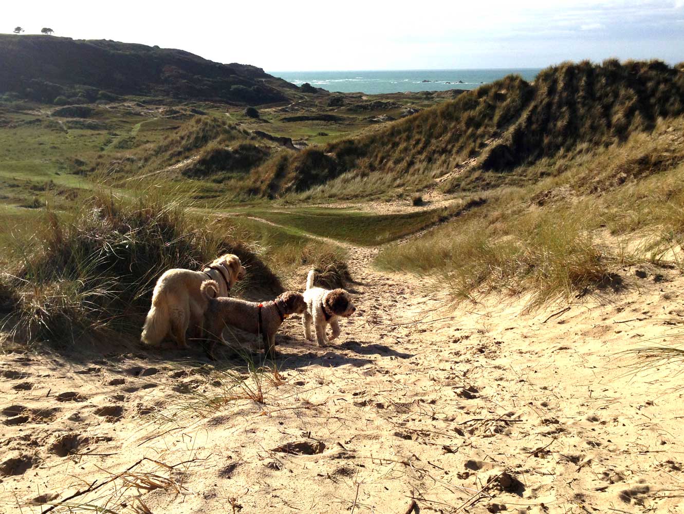 taka_2ells_dunes-30-10