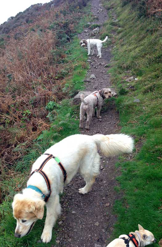 the-full_crew_25thoct13-les-platons