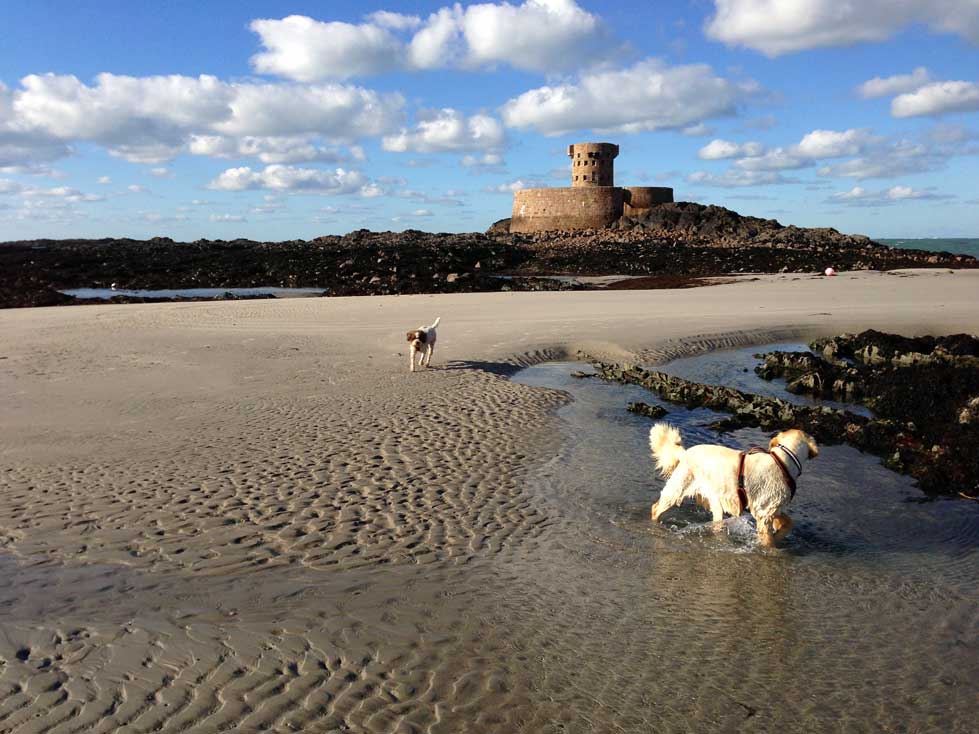 ela-taka_la_rocco_4-11-13