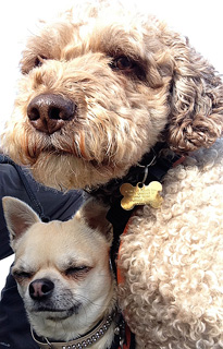 ella_rolo_in_love_13-11