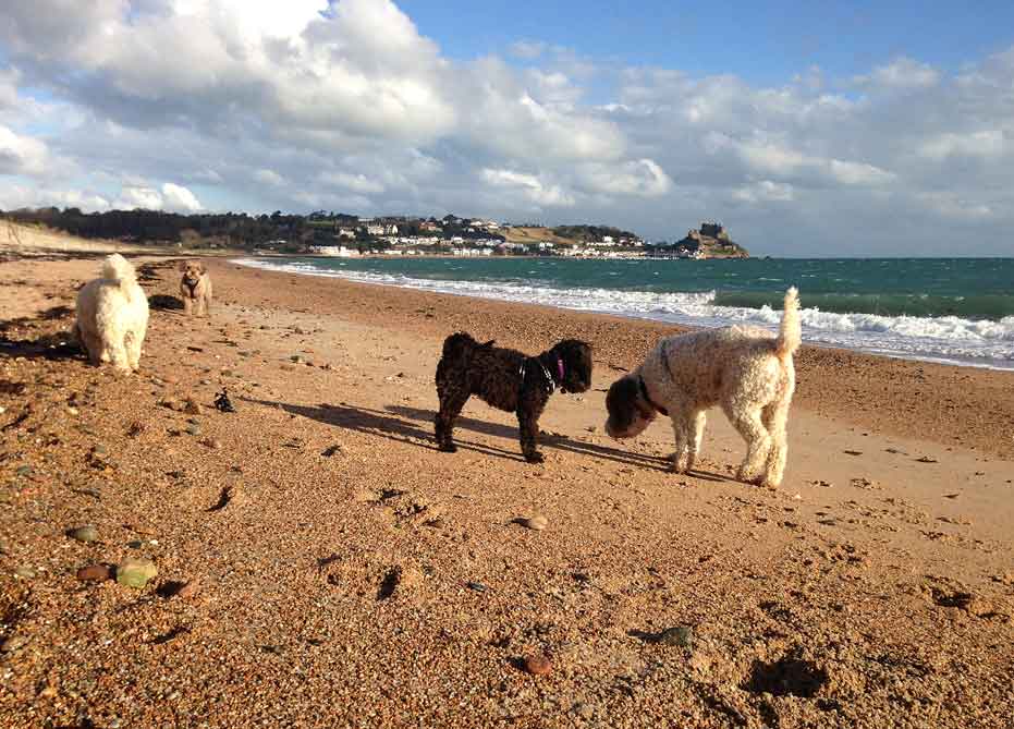 gorey-beach-crew-22-11