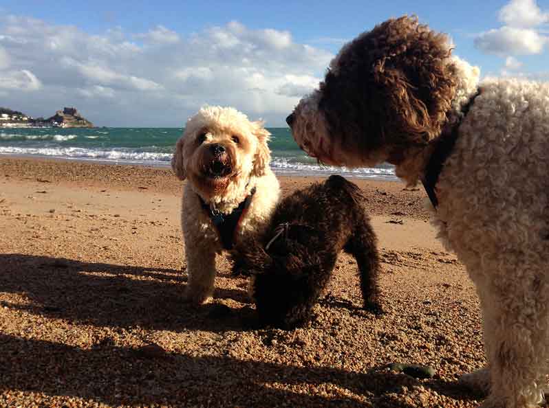 jack-winnie-ela-22-11