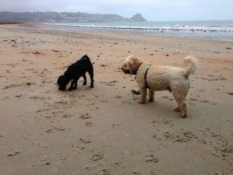 jack-winnie_gorey_11-11