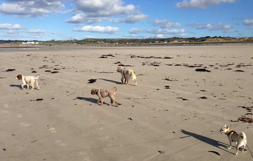 monday_crew_heading_along_beach