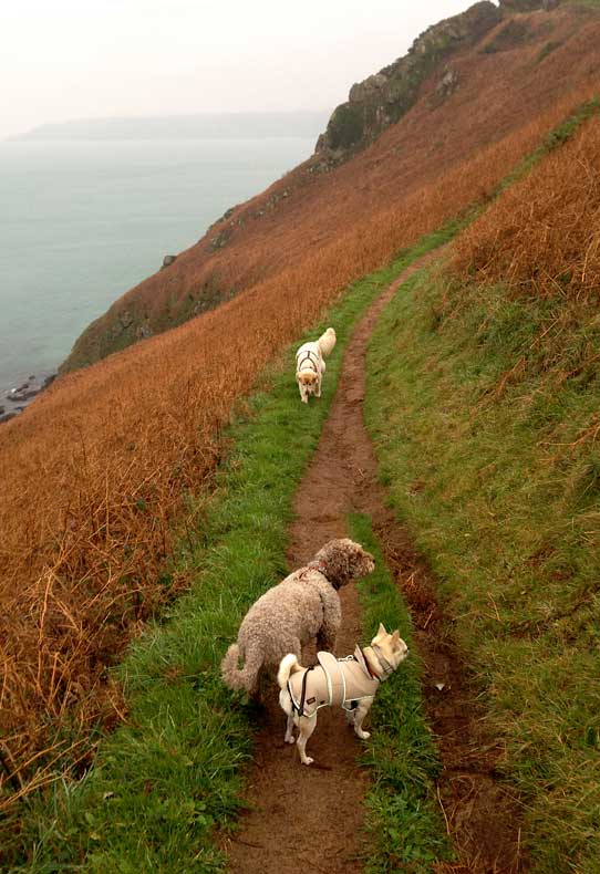 plemount_footpath-18-11