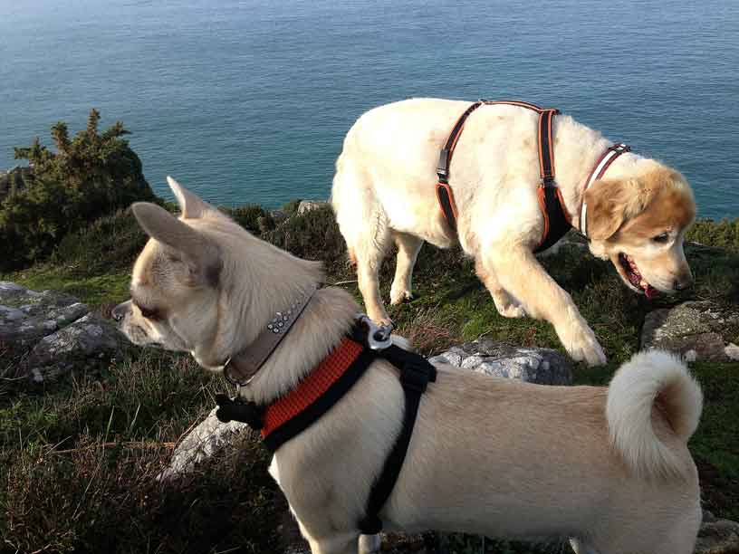 rolo_taka_egypt_13-11