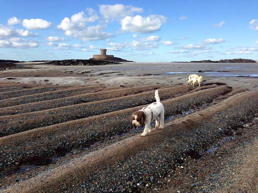 snad_ridges_ela_4-11-13