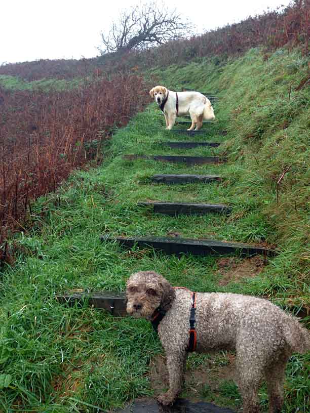 taka-ella-wolf_caves-11-11