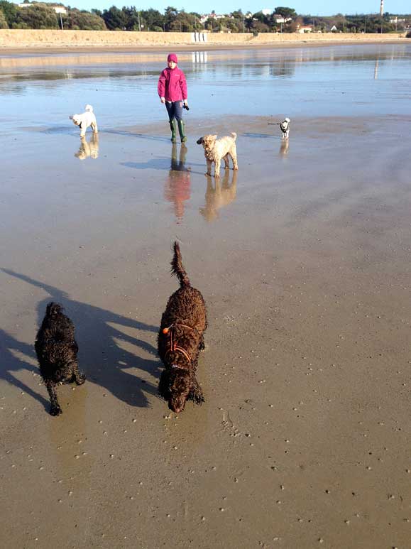 All-the-crew-on-St-Aubins-Jersey-201213