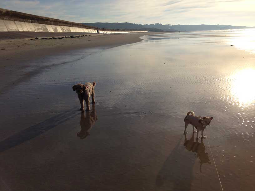 Ella-and-Rolo-St-Ounes-jersey-111213