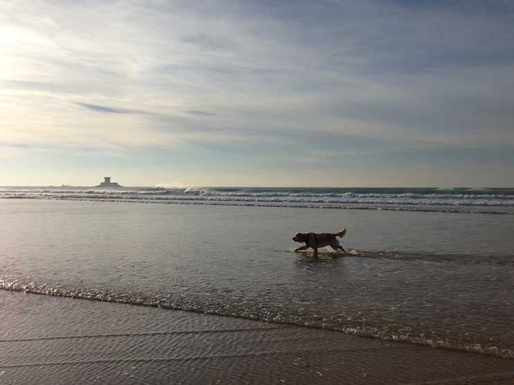 Taka-in-surf-St-Ounes-111213