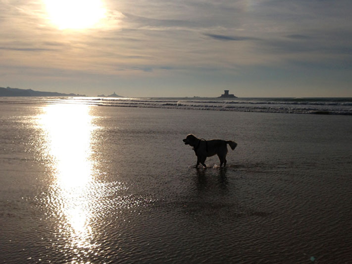 Taka's-birthday-st-ounes-jersey