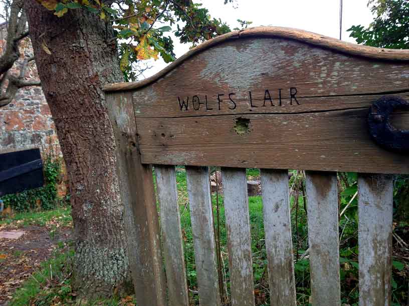 WOLFS-LAIR_2-12-13