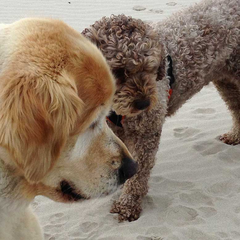 close-up_taka_ella_25-11