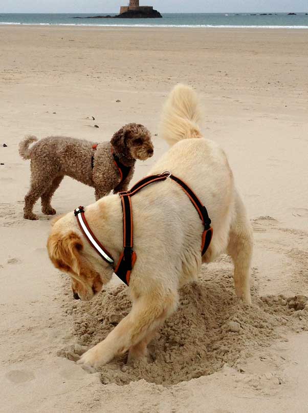 ella_taka_st-ouens_25-11