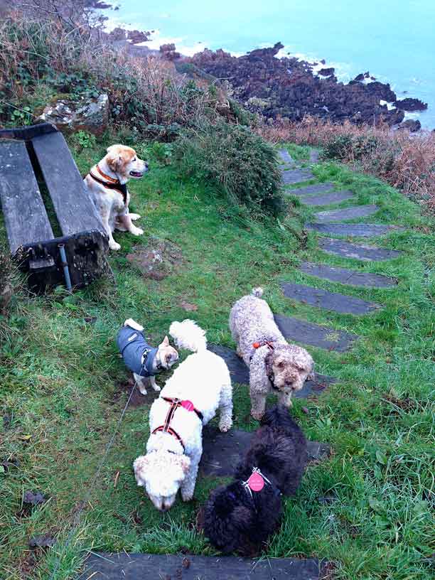 full-crew-wolfs-caves-jersey-181213