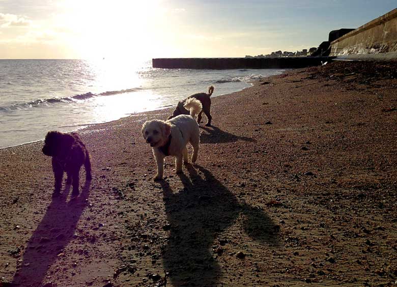 gorey_beach_winnie-jack-ella-6-12-13