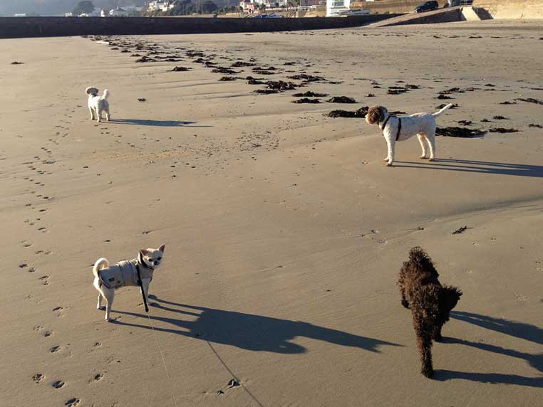 gunsite-cafe-jersey-101213