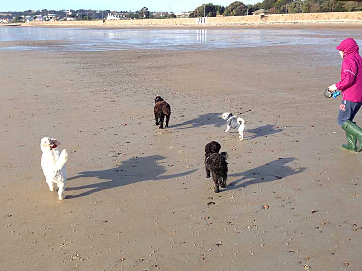 heading-up-the-beach-201213