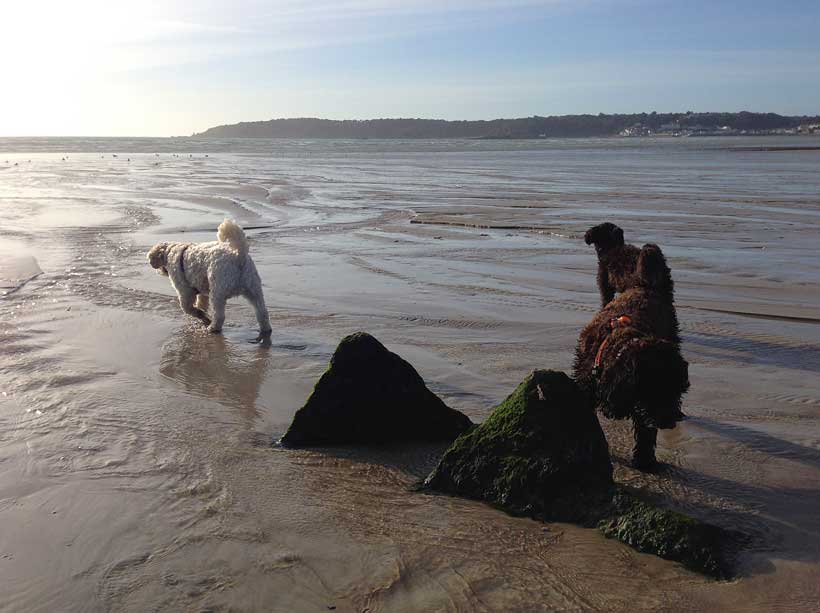 jack-walking-away-winnie-bettty-jersey-201213