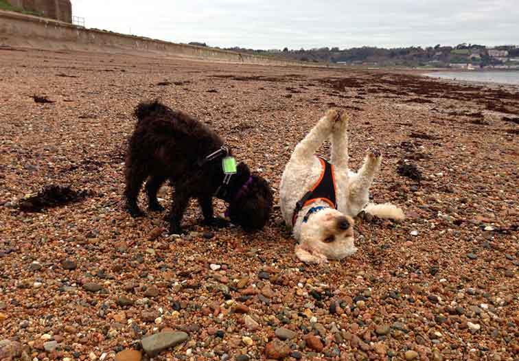 jack-winnie-gorey-4-12-13