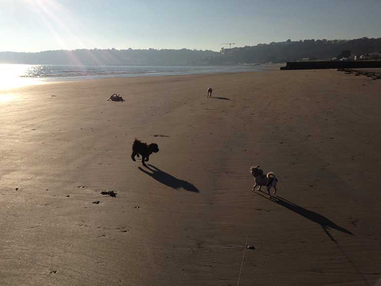 rolo-ela-winnie-jack-gunsite-jersey-101213