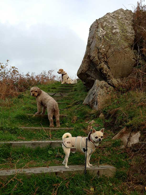 rolo-ella-taka-wolfs-caves-4-12-13