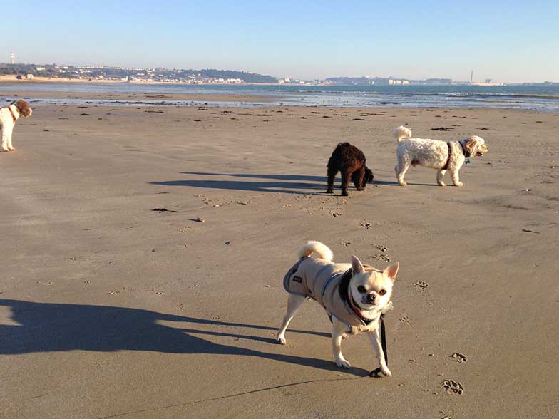 rolo-jack-winnie-st-aubins-jersey-101213