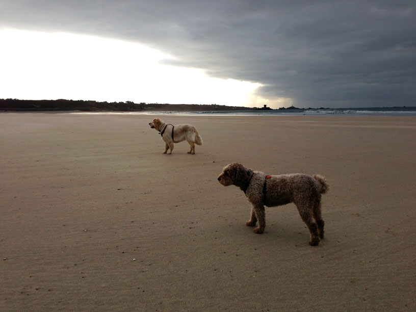 st-ouens_beach_ella-taka-25-11