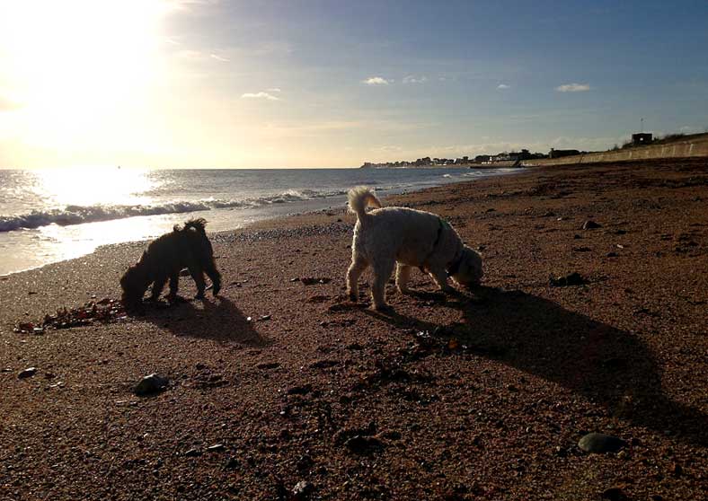 winnie-jack-stunning-gorey