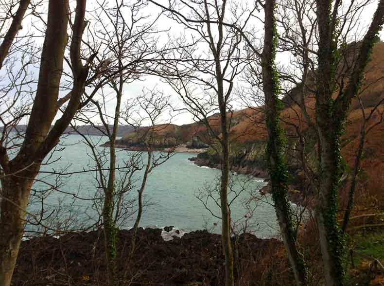 wolfs-lair-shoreview_2-12-13