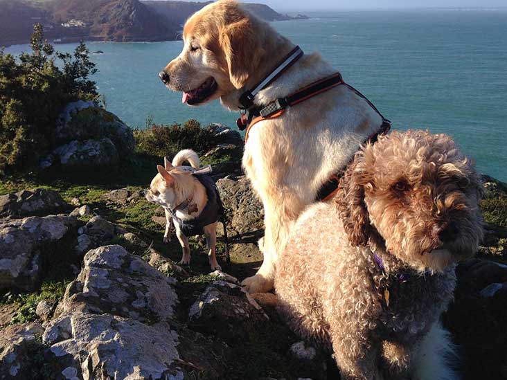 Rolo-Taka-Ella-Egypt-Jersey-301213