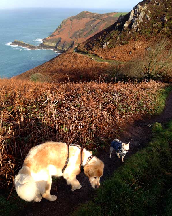 Taka-and-Rolo-Les-Palonts-Jersey-301213