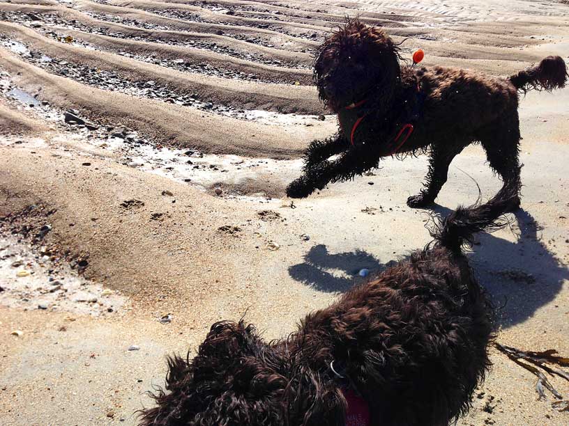 Betty-and-Winnie-Green-Island-Jersey-210314