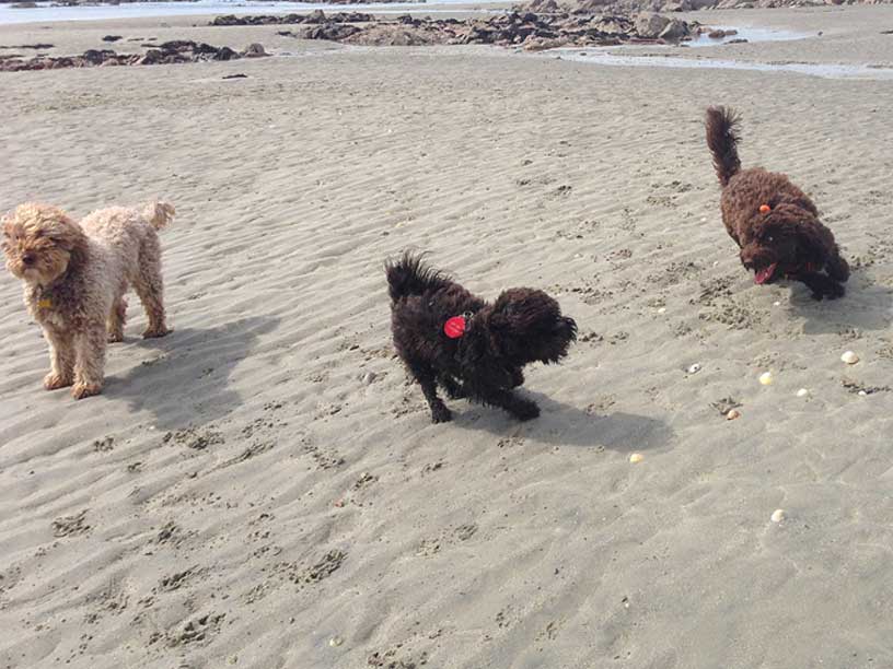 Ella-Winnie-Betty-Jersey-280314