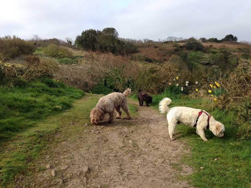 Ella-Winnie-Jack-Rozel-Jersey-190314