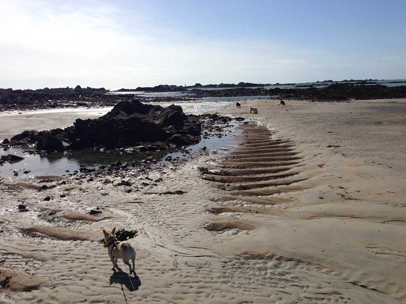 Green-Island-Jersey-full-crew-210314-