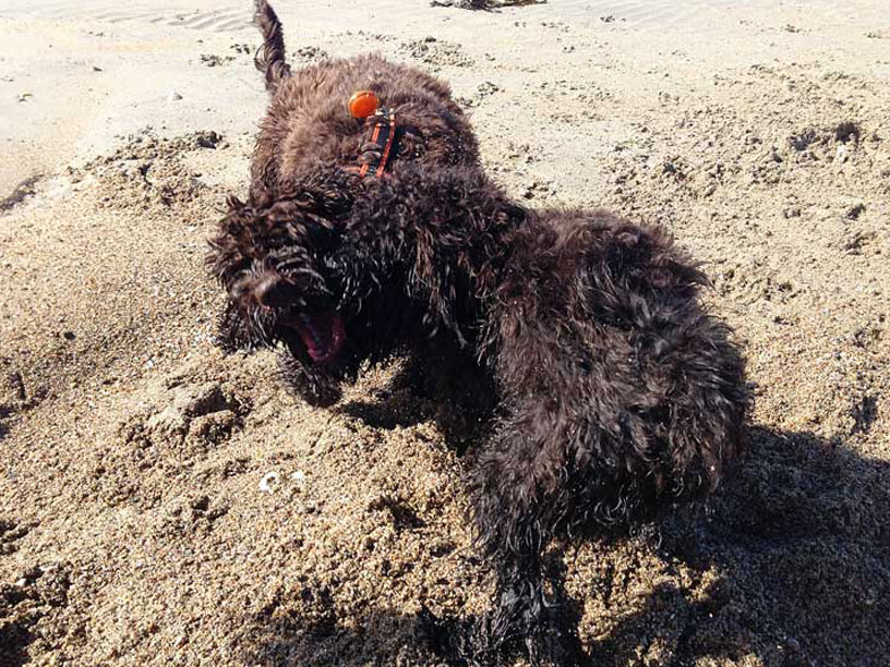 Green-Island-Jersey-full-crew-210314-