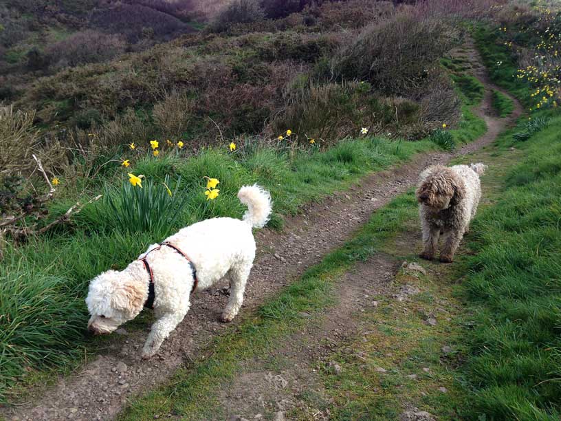 Jack-and-Ella-Rozel-Jersey-190314