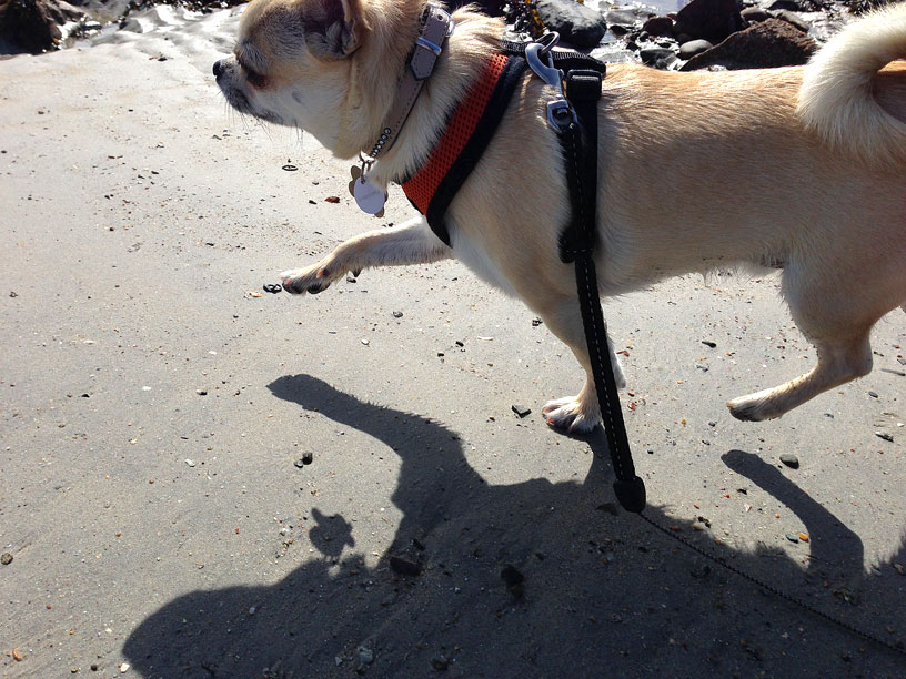 Rolo-Green-Island-Jersey-210314