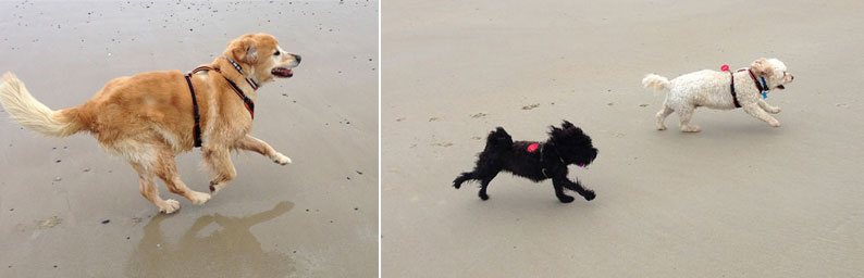 Running-on-St-Ounes-170314