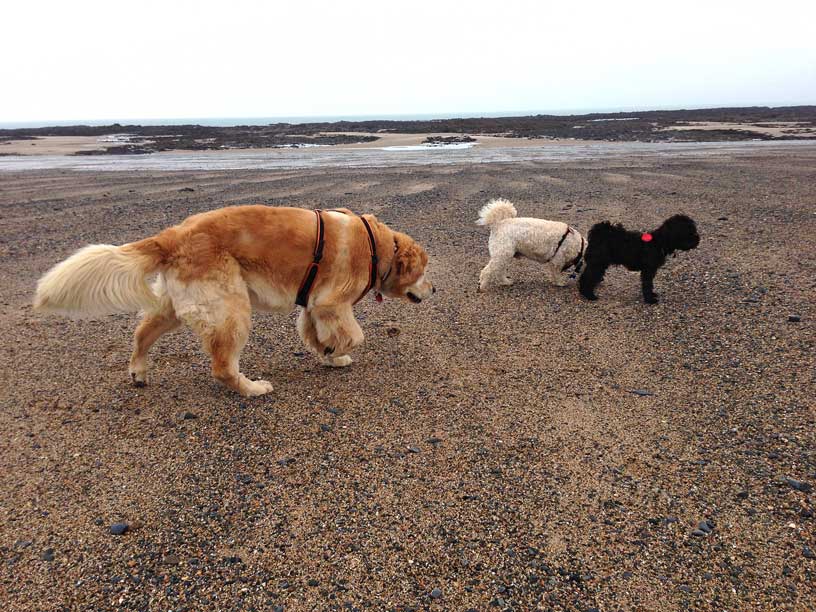 Taka-Jack-Winnie-st-Ouen-170314