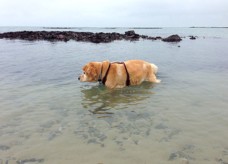 Taka-swimming-st-ouens-170314