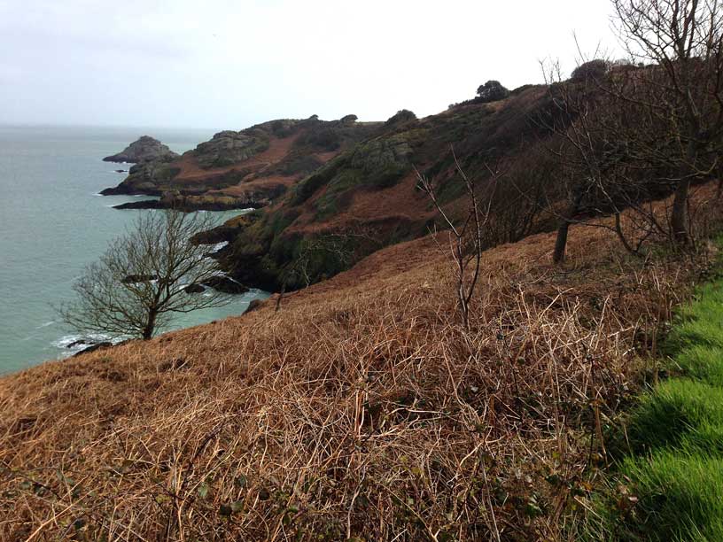 Whiterock-Rozel-Jersey-190314