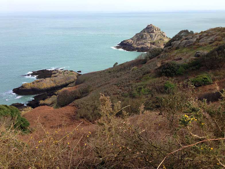 Whiterock-Rozel-Jersey-dogs-190314