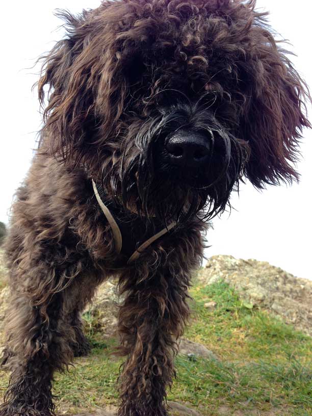 Winnie-Rozel-Jersey-190314